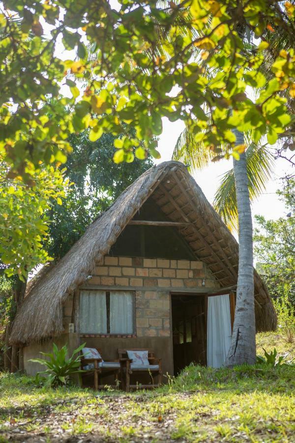 Turtle Cove Lodge And Yoga Shala Praia do Praia do Tofo Exteriör bild